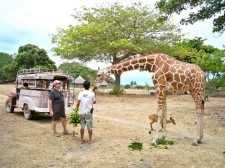 Safari Park Palawan Safari Park