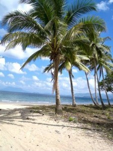 Long Beach Palawan long beach palawan